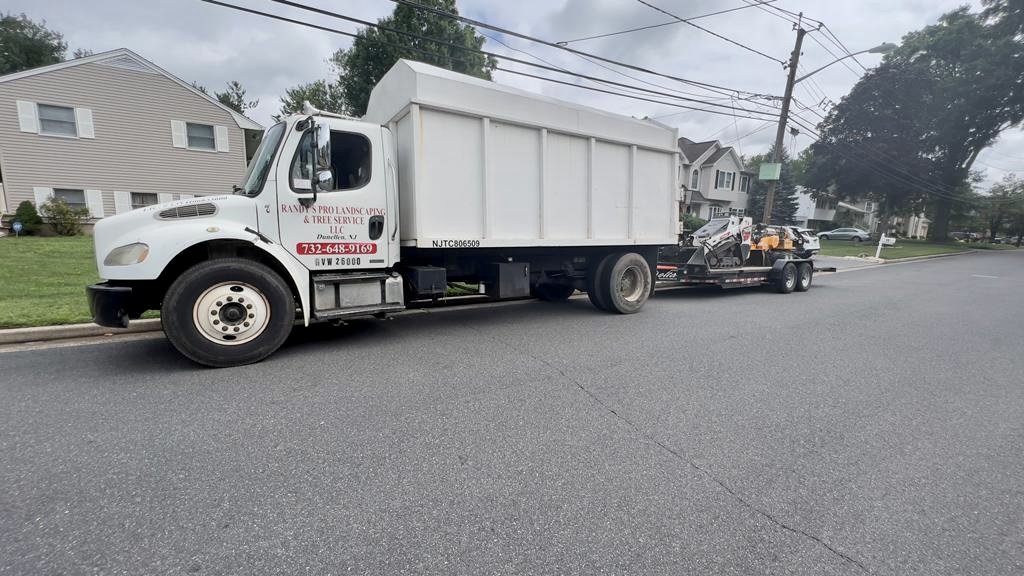 Tree Service in Edison,NJ on Freeman Ave