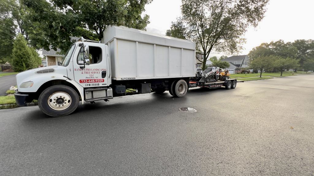 Tree Service Job in Somerville