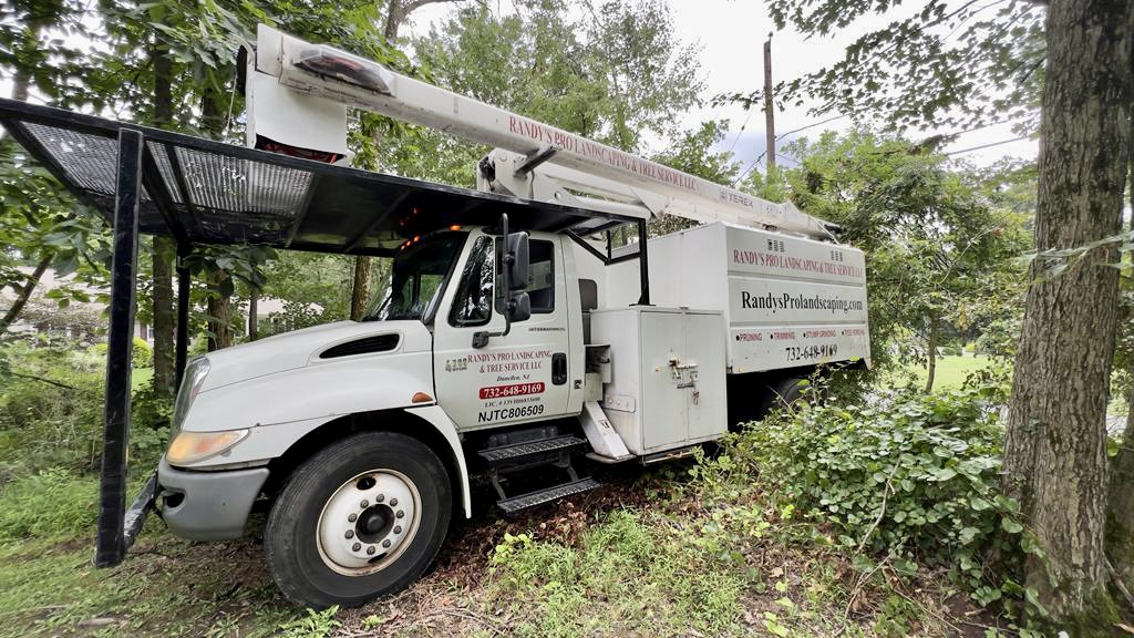 Tree Removal in Warren,NJ on Sleepy Hollow Ln