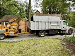 Tree Service in Hopatcong,NJ on Ithanell Rd