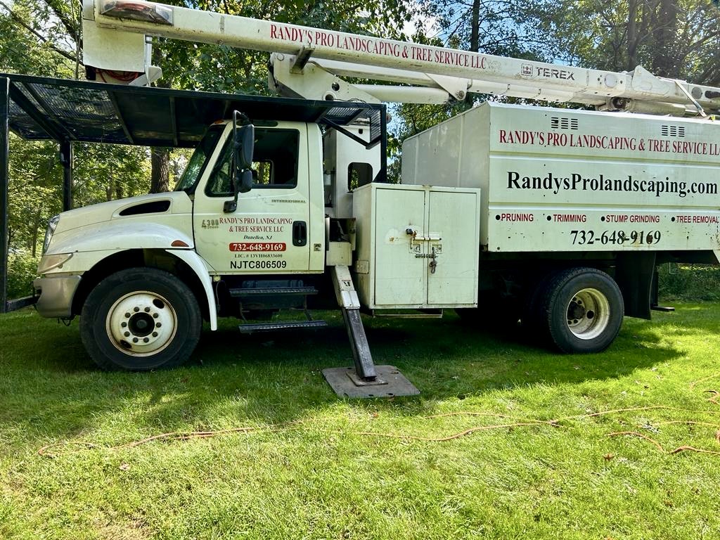 Tree Service in Piscataway,NJ on 4th Pl