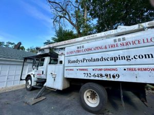 Tree Service in Short Hills,NJ on Pine Terrace W