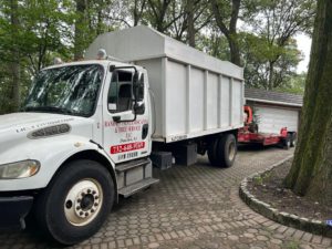 Tree Service in Warren,NJ on Mountain Trail