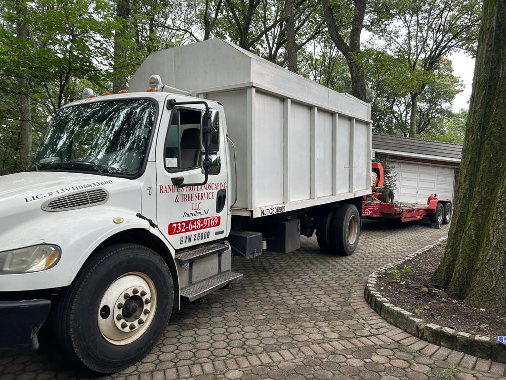 Tree Service in Warren,NJ on Mountain Trail