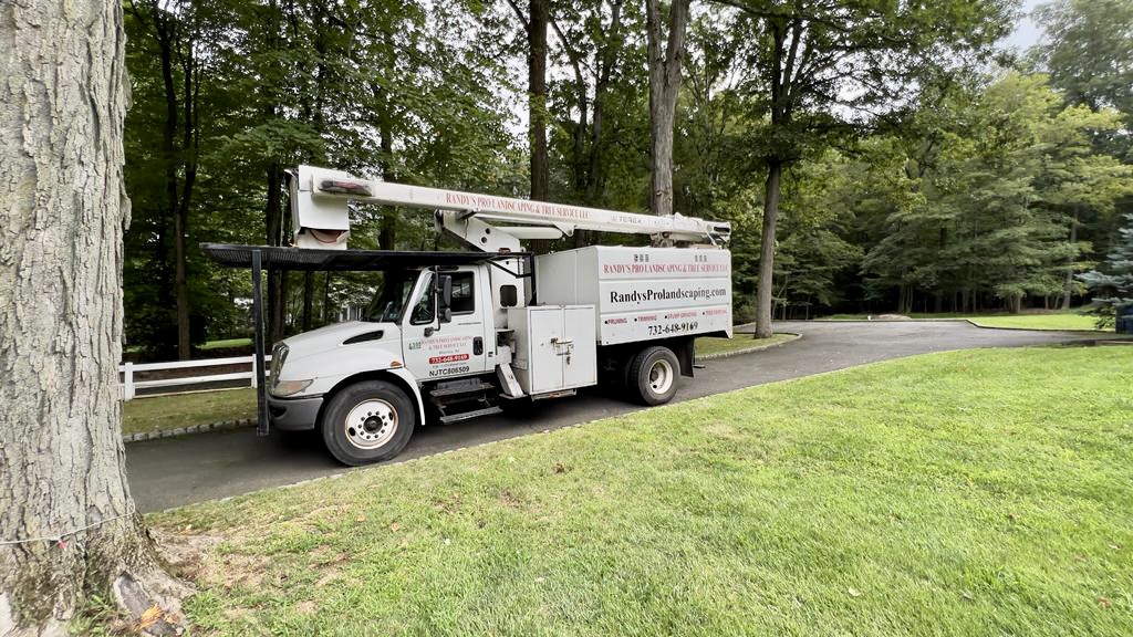 Tree Service in Warren,NJ on Stardust Dr