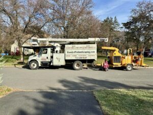 Tree Service Job in Bridgewater on Mahnken Dr