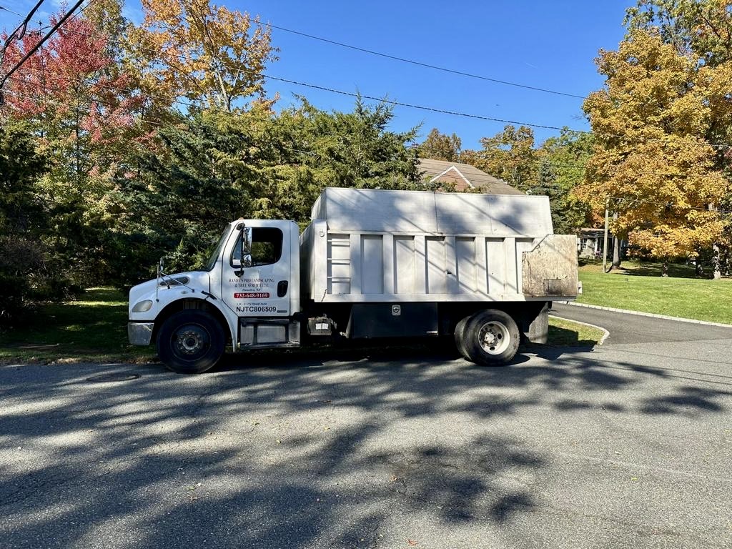 Tree Service Job in Bridgewater on Barbara Dr