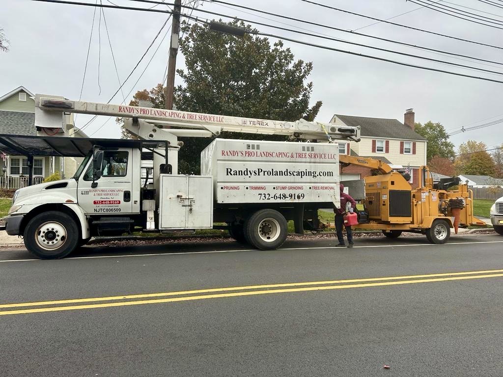 Tree Service Job in Dunellen on Madison Ave