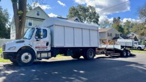 Tree Service Job in Dunellen on Dunellen Ave