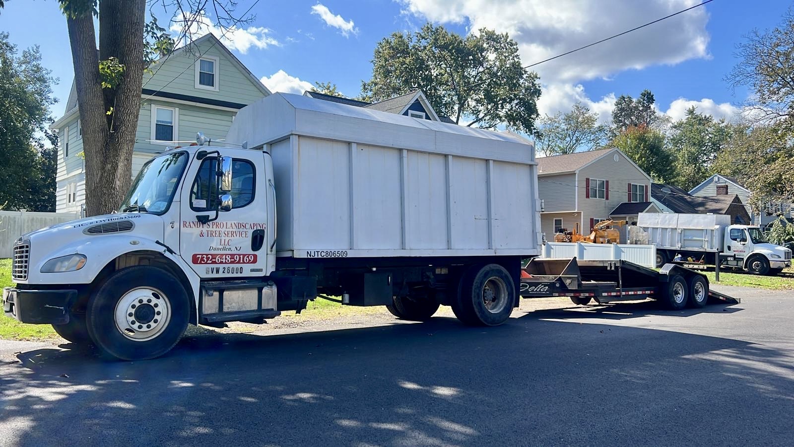 Tree Service Job in Dunellen on Dunellen Ave