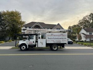 Tree Service Job in Edison