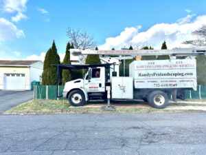 Tree Service Job in Edison on Alcoa Ave