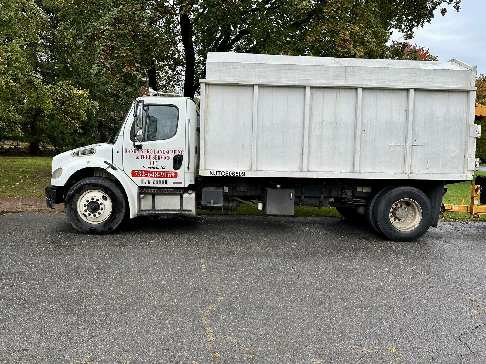 Tree Service Job in High Bride