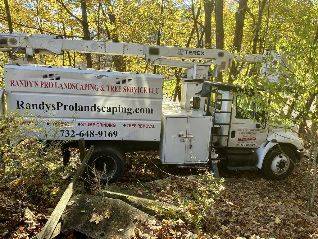Tree Service Job in Hopatcong on A Sutton Rd
