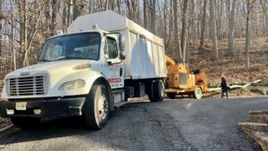 Tree Service Job in Martinville on Drum Hill Rd