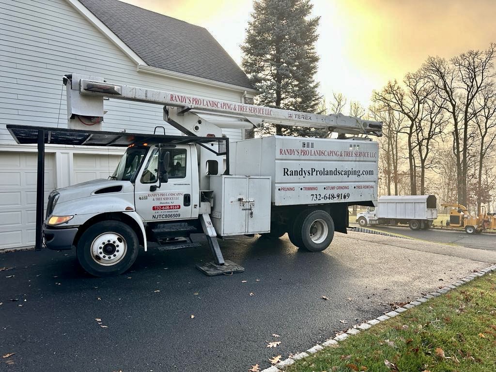 Tree Service Job in Martinville on Blazier Rd