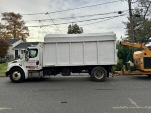 Tree Service Job in Piscataway on Lakeside Dr N