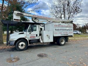 Tree Service Job in Piscataway on Crestwood St