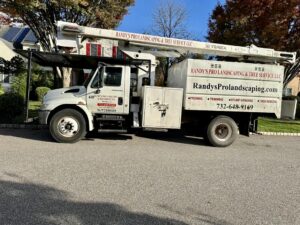Tree Service Job in Somerset on Maher Rd
