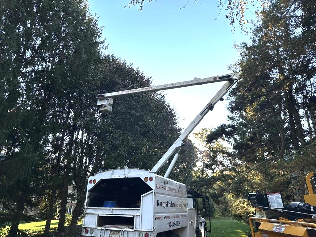 Tree Service Job in Summit on Summit Ave