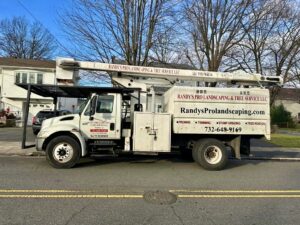 Tree Service Job in Colonia on Harrison Ave