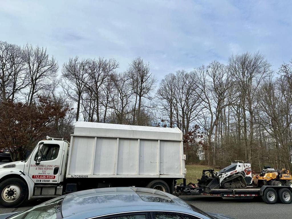 Tree Service Job in East Brunswick on Hartlander St