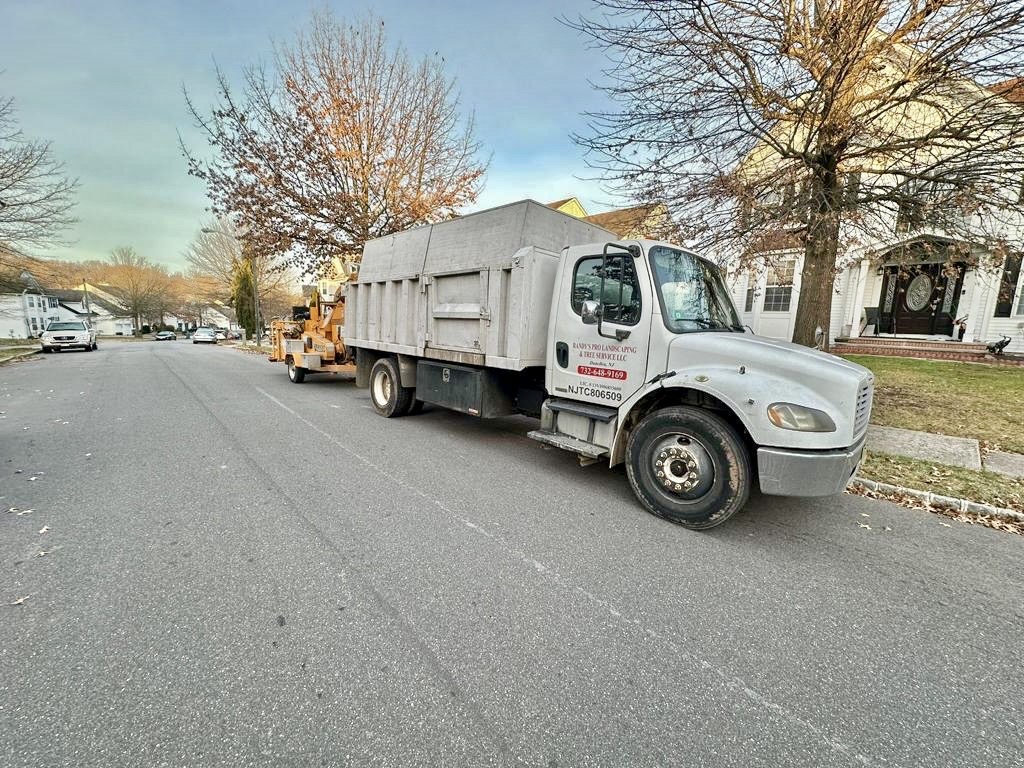 Tree Service Job in Edison on Winding Brook Road