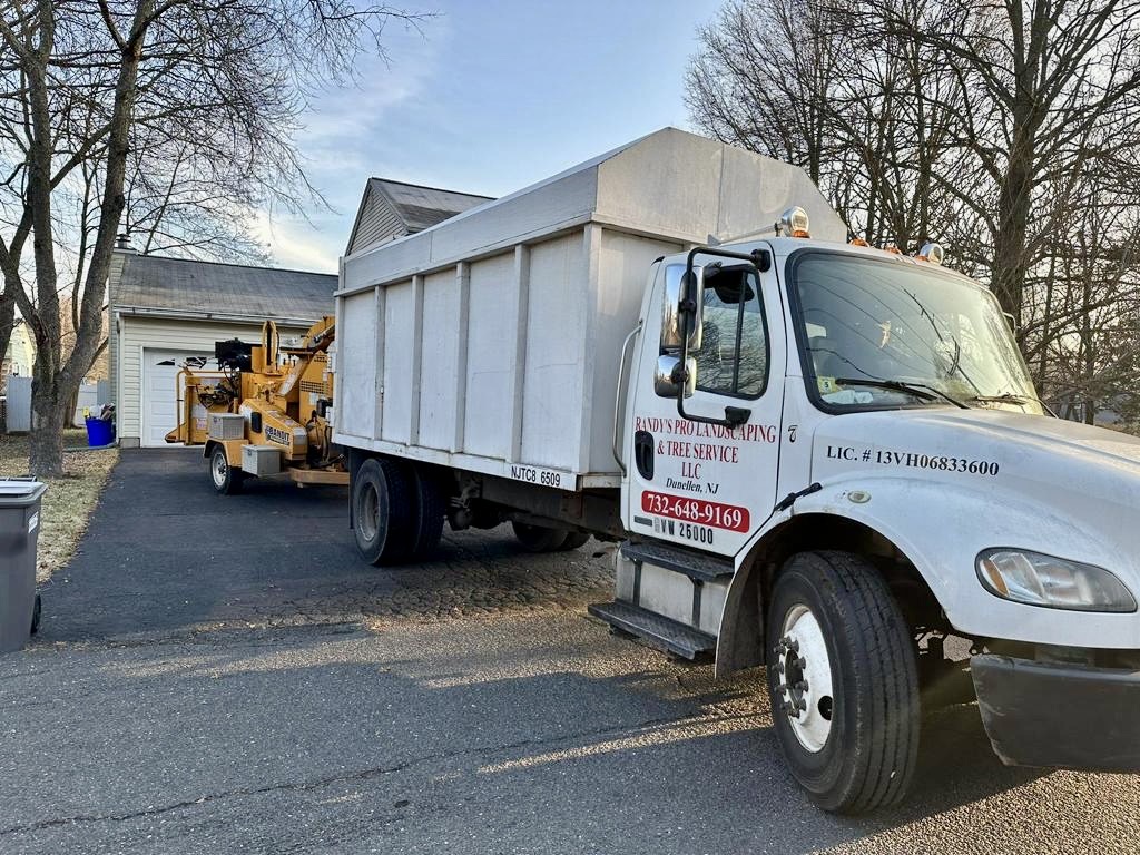 Tree Service Job in Piscataway on Hancock Road