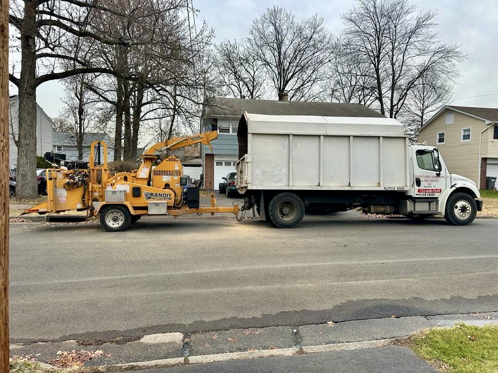 Tree Service Job in Piscataway on Kerwin St