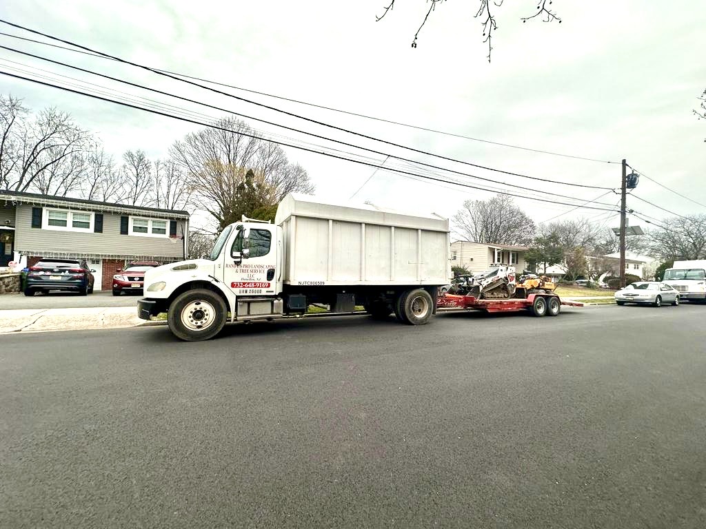 Tree Service Job in Edison on Merker Dr