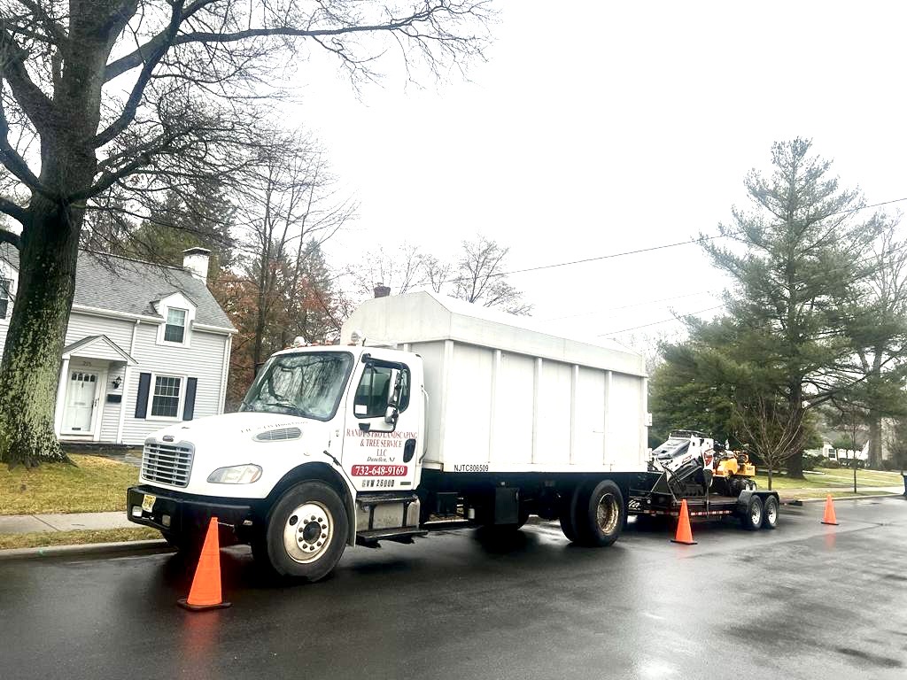 Tree Service Job in Pennington on Burd St