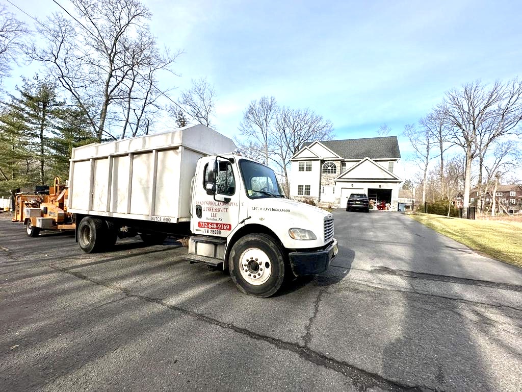 Tree Service Job in Warren on Blackthorne Road