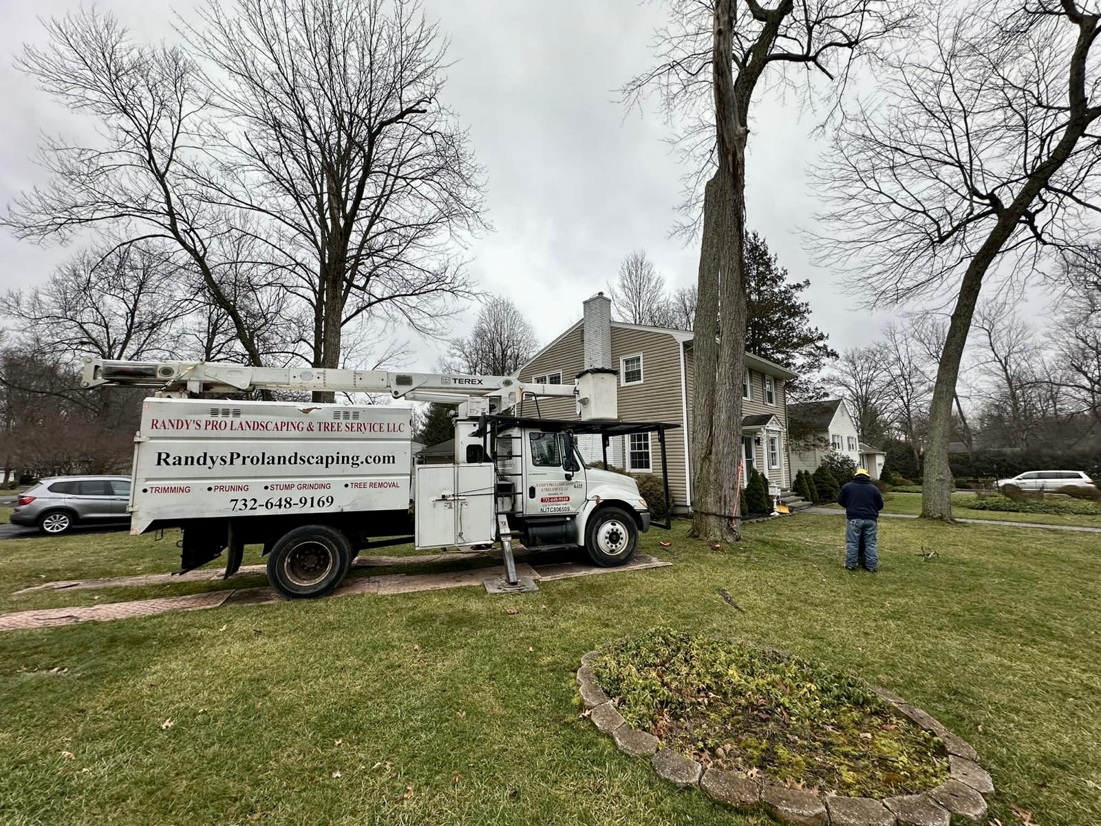 Tree Service Job in Berkeley Heights