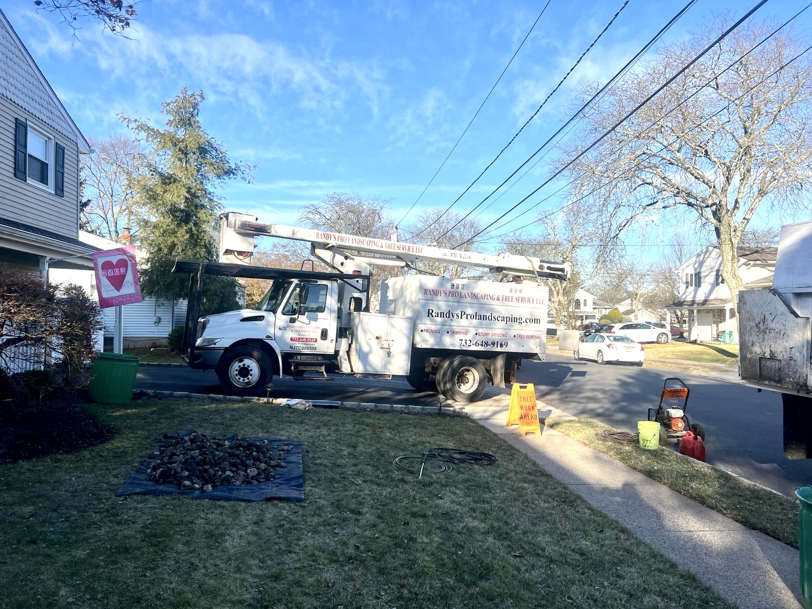 Tree Service Job in Edison