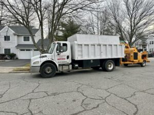 Tree Service Job in Piscataway on Southview Ct