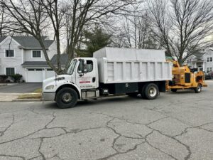 Tree Service Job in Piscataway on Southview Ct