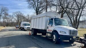 Tree Service Job in Piscataway on Hopkinson Rd