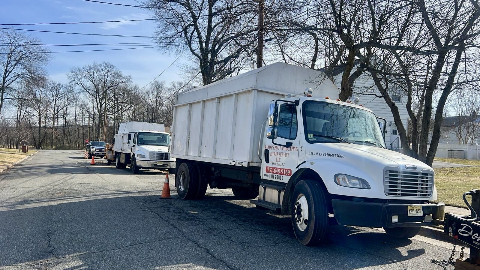 Tree Service Job in Piscataway on Hopkinson Rd