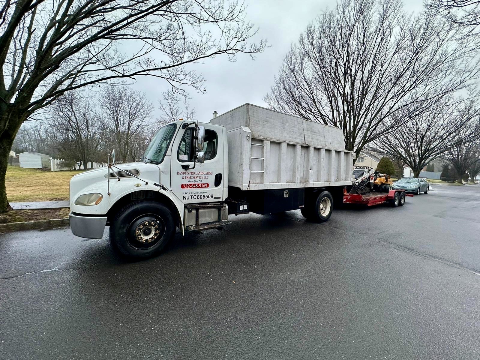 Tree Service Job in Piscataway