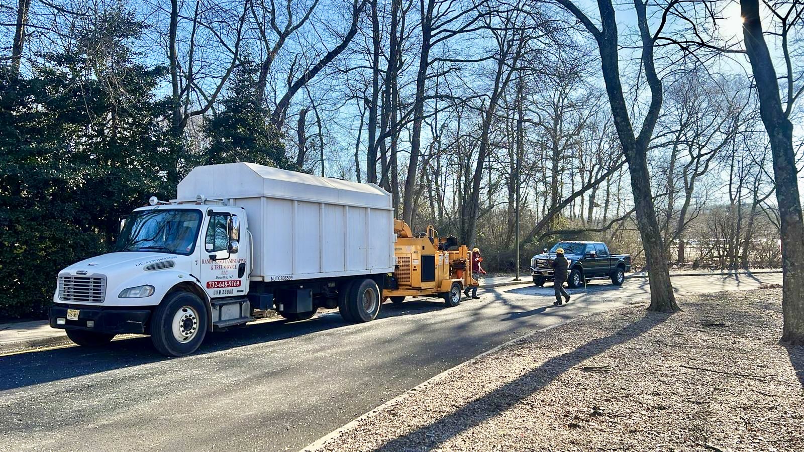 Tree Service Job in Princeton