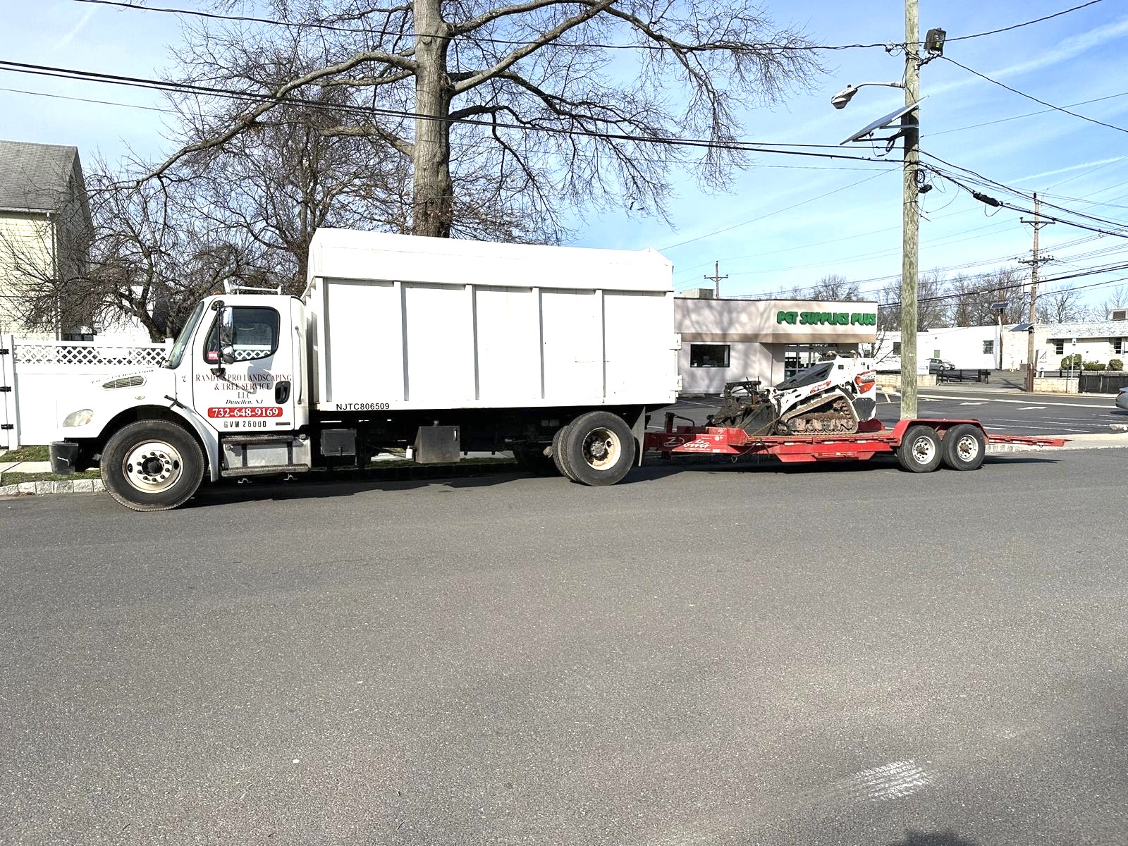 Tree Service Job in Bridgewater