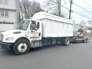 Tree Service Job in East Brunswick