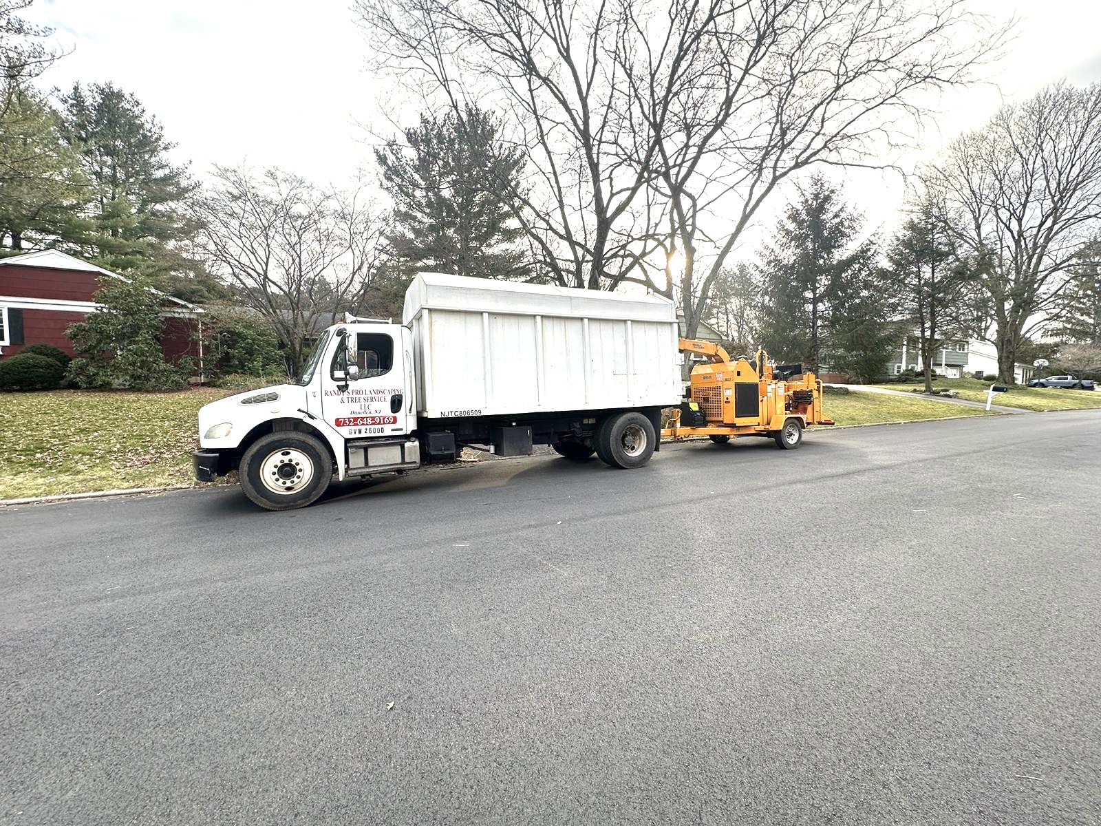 Tree Service Job in High Bride