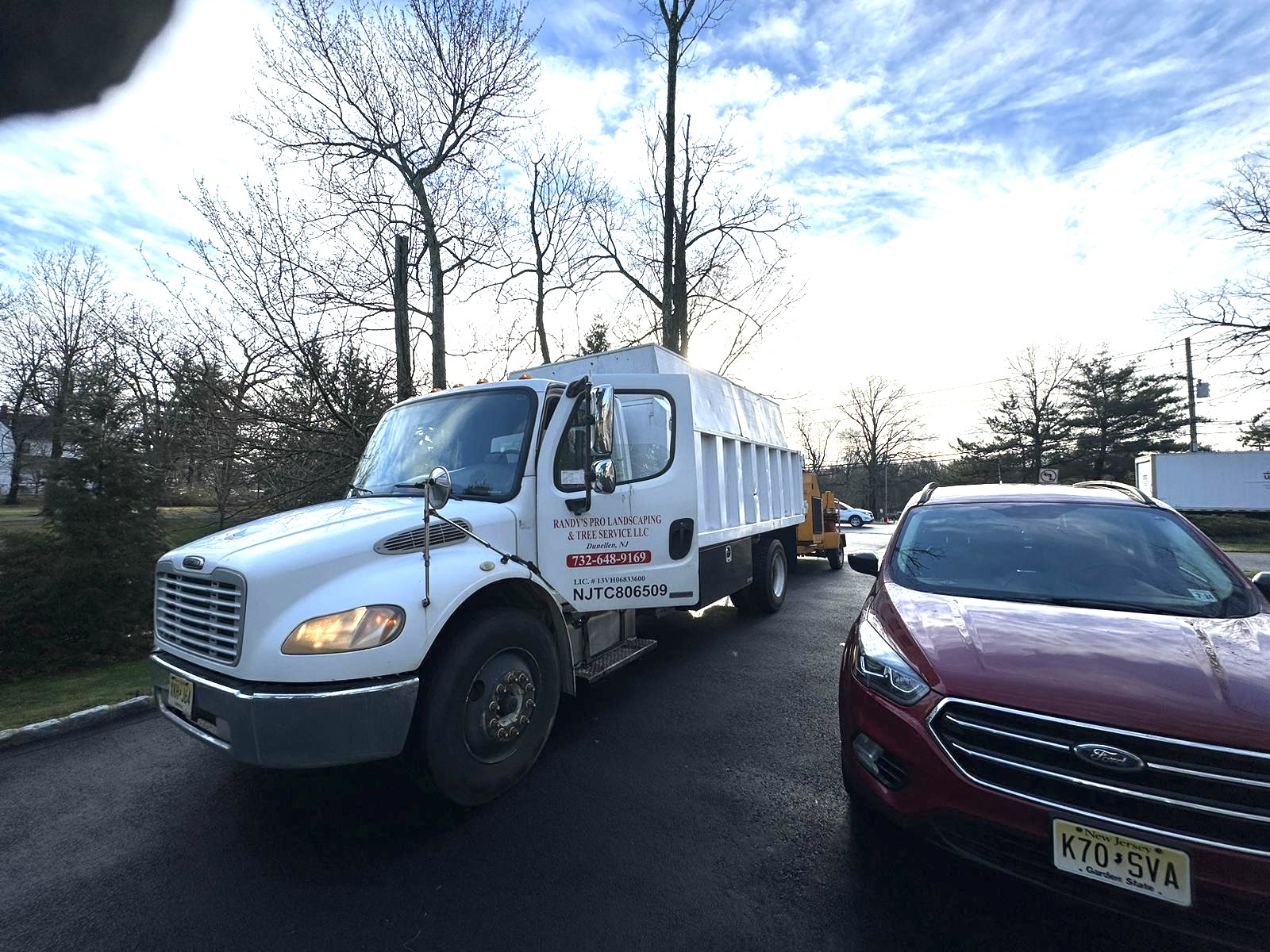 Tree Service Job in New Providence