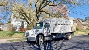 Tree Service Job in Somerville