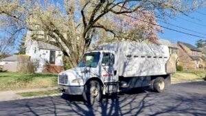 Tree Service Job in Somerville