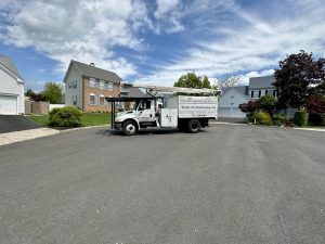 Tree Service Job in Branchburg