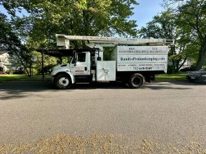 Tree Service Job in Clinton