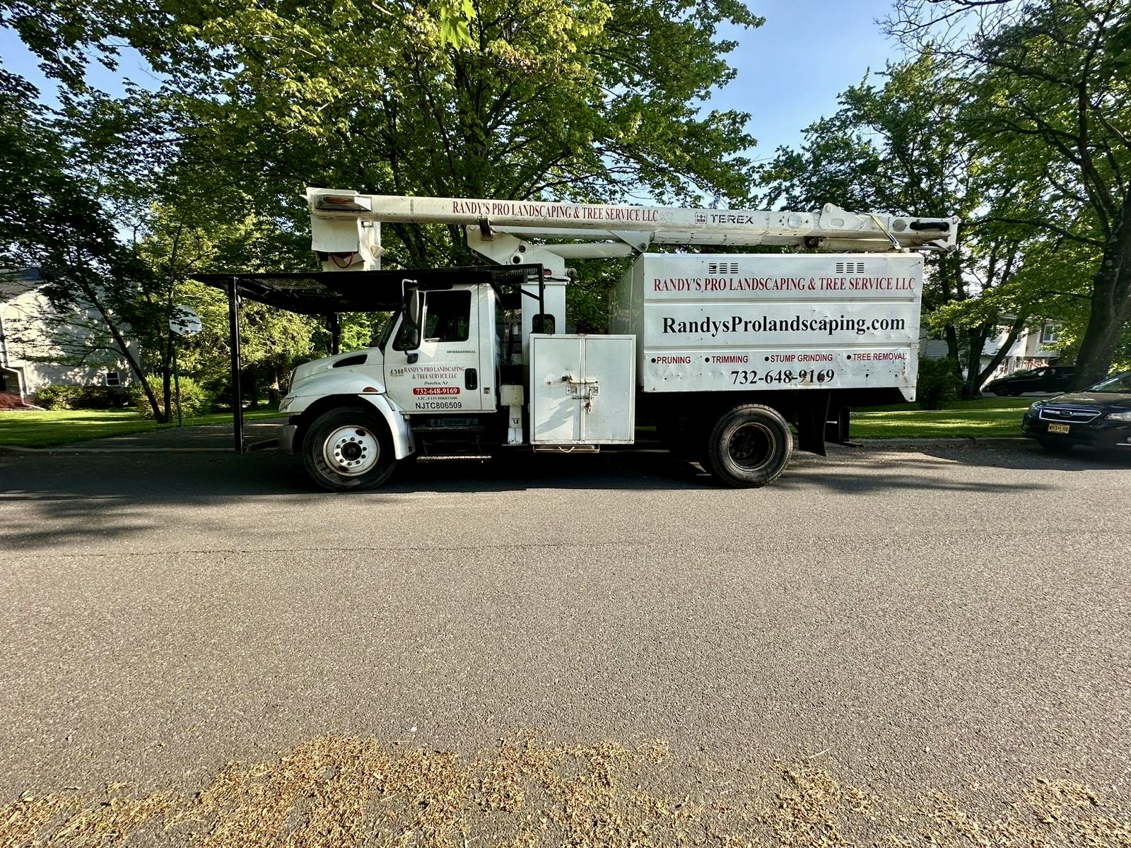 Tree Service Job in Clinton