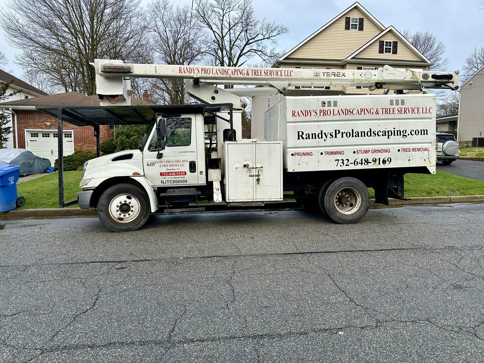 Tree Service Job in Colonia